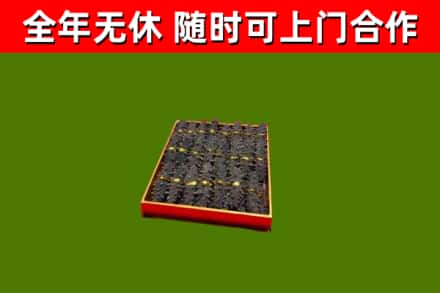 噶尔回收海参
